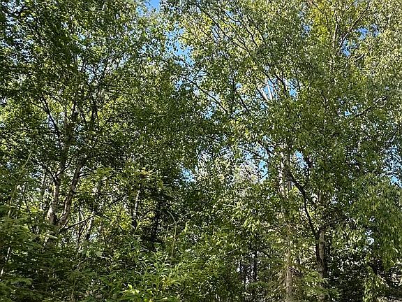 2nd image of 7472 N King Cove Dr