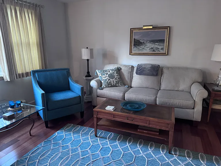 Comfortable living room furnishings.