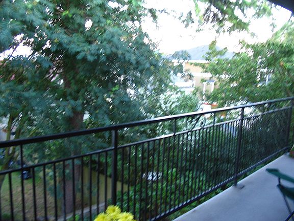 Deck View