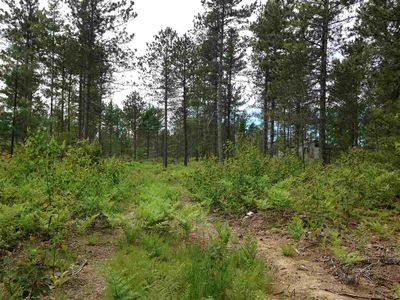 Tbd Raycoe Rd, Au Train, MI, 49806