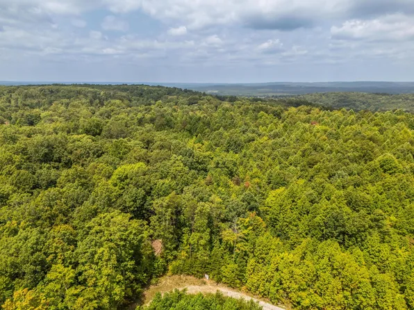 0 Otis Davis Rd, Pikeville, TN 37367