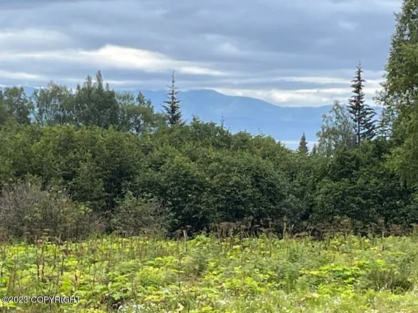 985 Nelson Ave, Homer, AK 99603