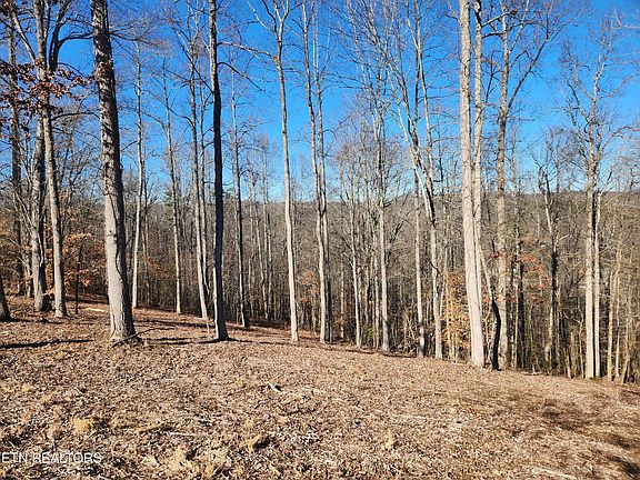 3rd image of LOT 52 E Poplar Ln