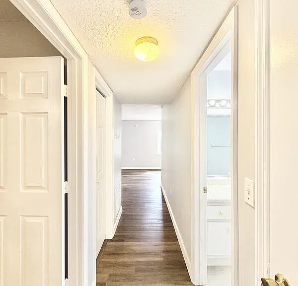 1712 Belleair Forest Dr #D — Photo 15