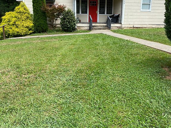 Beautiful yard