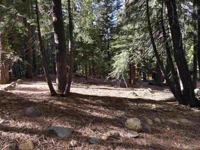 2578 Rustic Ln, Homewood, CA, 96141