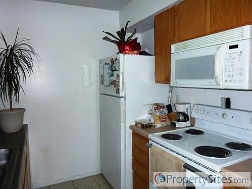 3rd image of 3207 Buena Verde Ln
