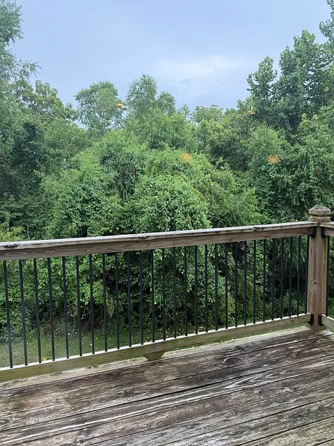 3 bed, 2.5 bath, 2000 sqft, $2,550 — Photo 4