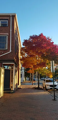241 Cumberland Ave Photo 1