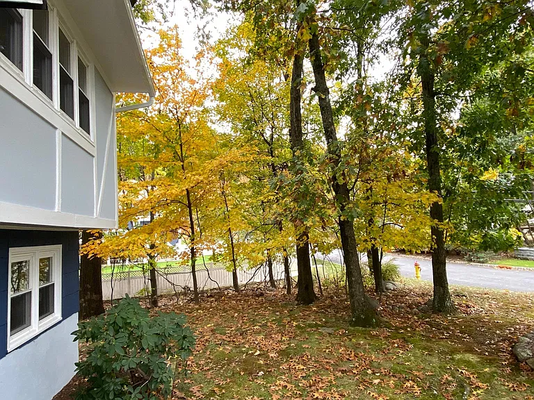 25 Cottage Pl — Photo 9