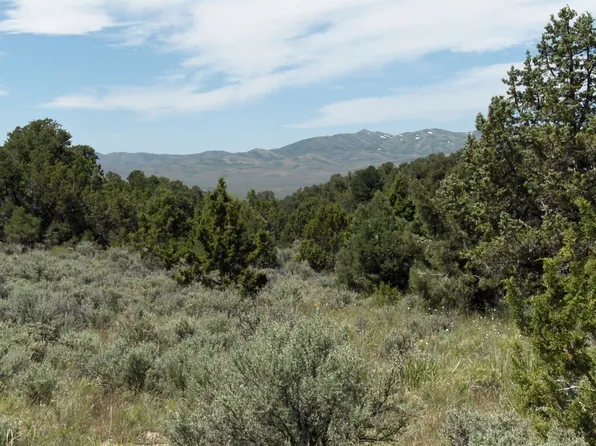 Sec 5 Township 38n Rge #67E, Montello, NV 89830
