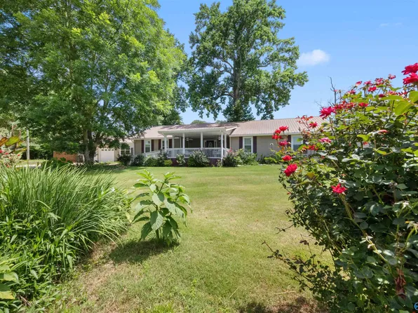 4500 Crystal Point, Southside, AL 35907