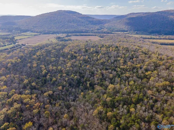 11550 County Road 8, Woodville, AL 35776