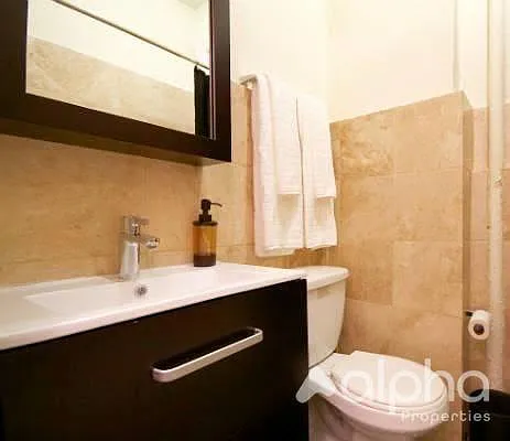 Rented by Alpha Properties NYC I LLC | media 9