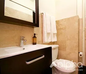 Rented by Alpha Properties NYC I LLC