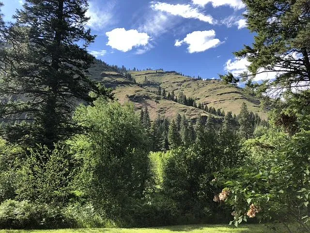 59836 River Canyon Rd — Photo 24