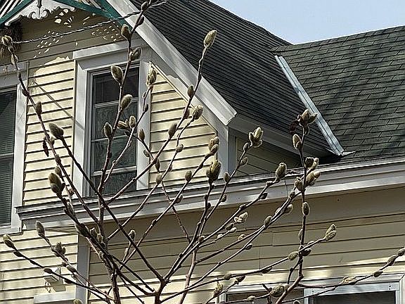 5th image of 401 5th St E
