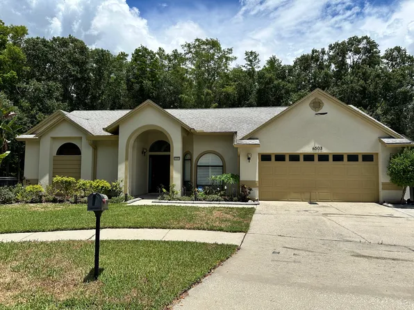 6503 Broadwing Ct, Tampa, FL 33625