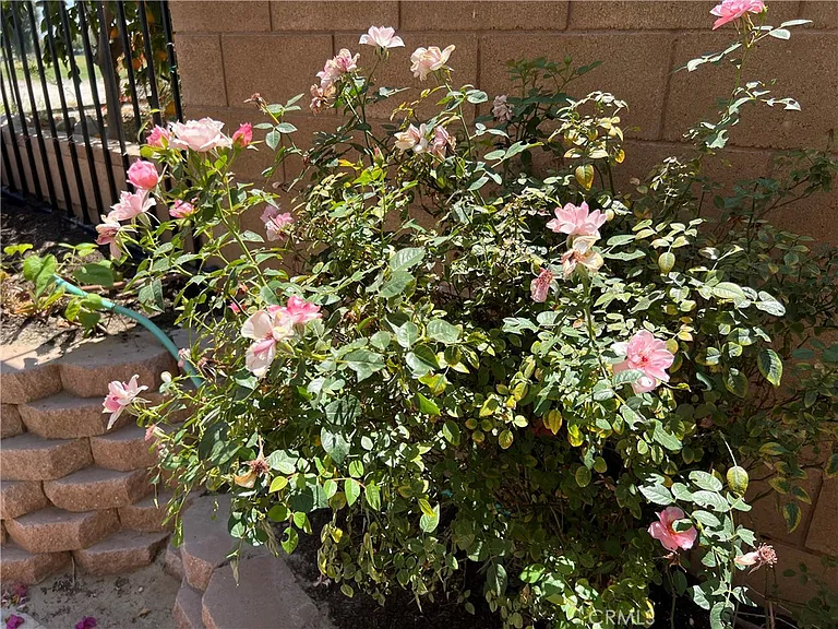 77184 California Dr — Photo 49