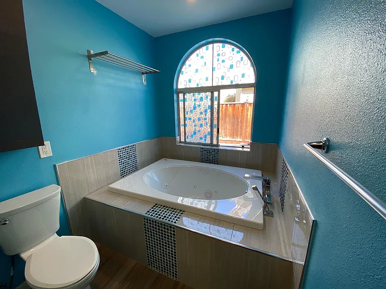 Master Bathroom Bathtub
