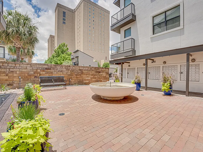 Vue Live Oak — Photo 34