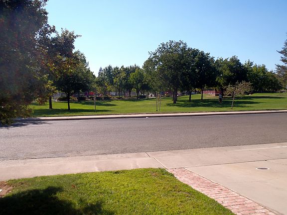 View of the Park