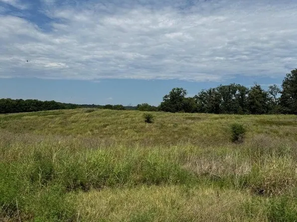 Tbd Ee Highway #31, Lanagan, MO 64847