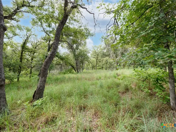 2573 Vivroux Ranch Rd, Seguin, TX 78155