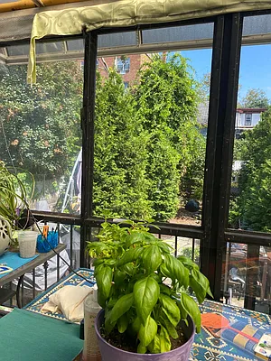 Rented by Dwelling Homes | media 4