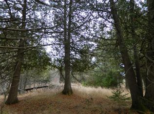 12990C Hubbard Lake Rd, Hubbard Lake, MI 49747