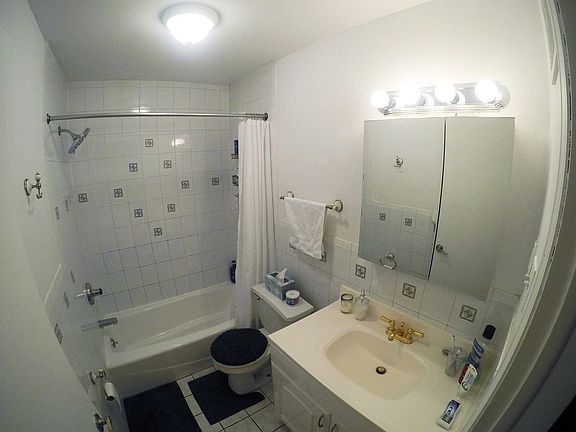 5th image of 531 E 11th St APT 1D