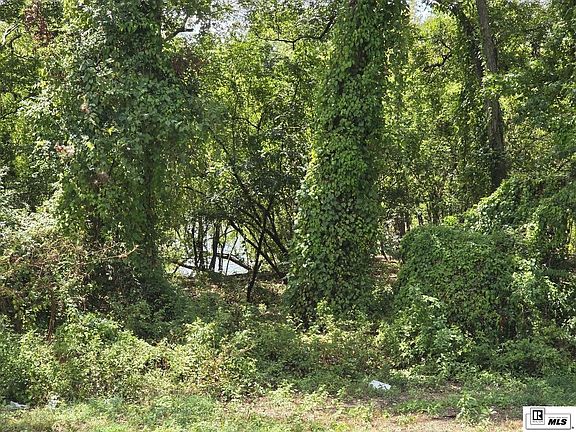 5th image of 0 Logtown Loop Rd