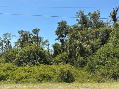 Sadnet Ln LOT 22, North Pt, FL, 34286