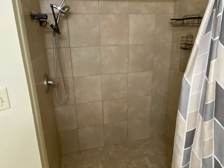 Master shower