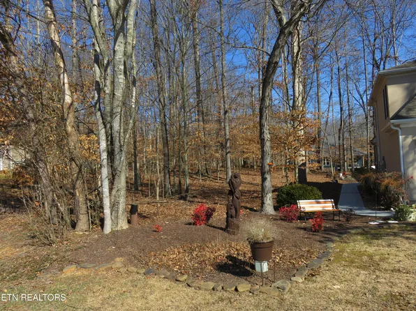 Golanvyi Trl, Vonore, TN 37885