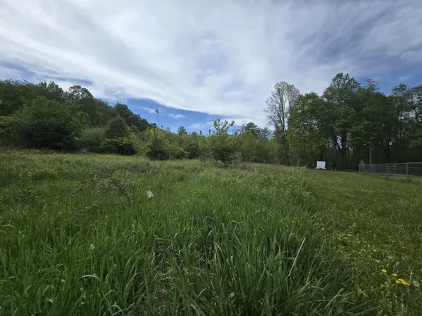 Cemetery Rd, Charmco, WV 25958