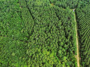 0 Gates Rd, Daisetta, TX 77533