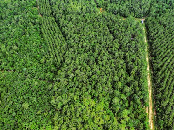 0 Gates Rd, Daisetta, TX 77533