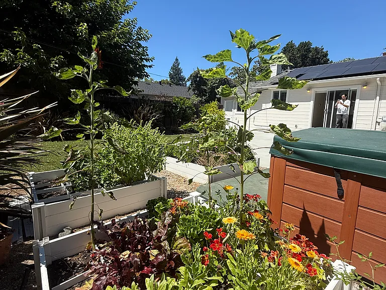 Garden behind spa.