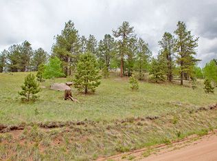 785 Yorktown Rd, Cripple Creek, CO 80813