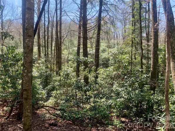 LOT-20A Indian Lake Rd, Lake Toxaway, NC 28747