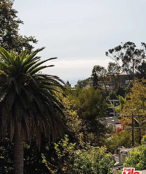 430 Mesa Rd — Photo 23