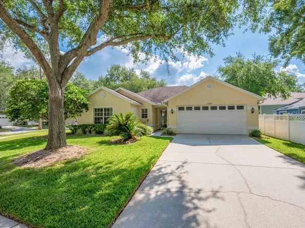 17610 Esprit Dr, Tampa, FL 33647