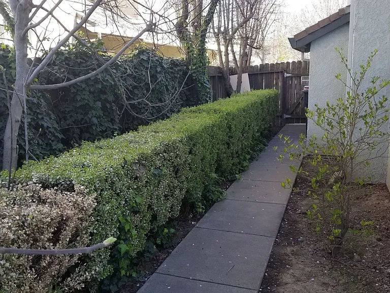 3455 Koso St — Photo 31