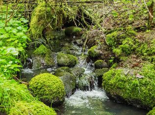 409 Salmon Creek Rd, Mossyrock, WA 98564