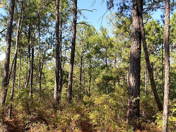 3rd image of 0 Firetower Rd