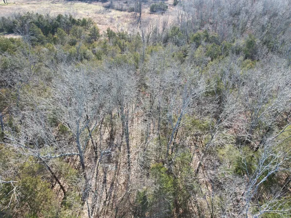 000 County Road 904, Theodosia, MO 65761