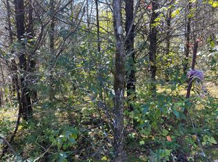 1 Blue Springs Rd, Midway, TN 37809