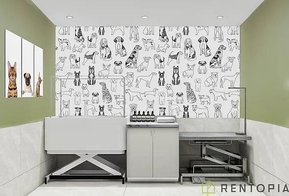 Rented by Rentopia | media 53