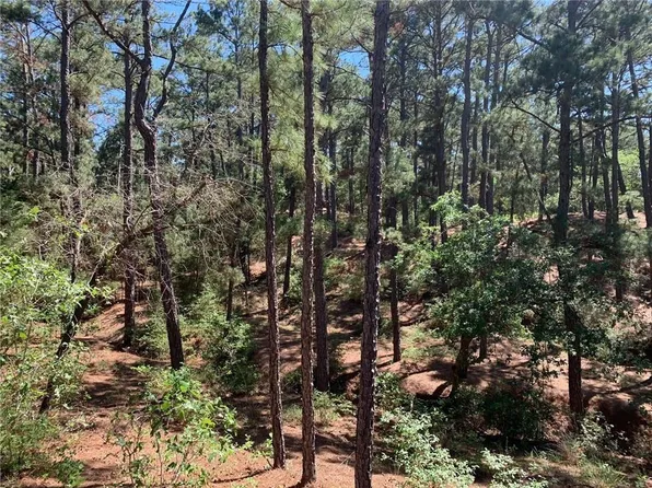 Tbd Wahane Ln, Bastrop, TX 78602